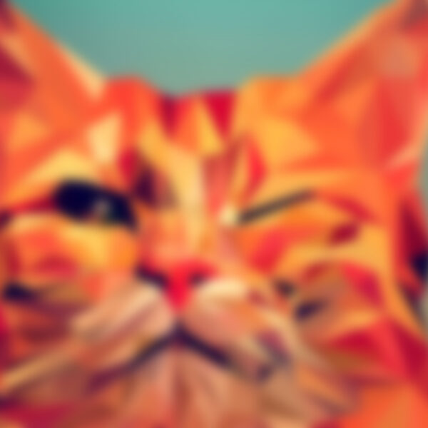 Select PEEK & CLOPPENBURG – PARADISE CENTER	 PEEK & CLOPPENBURG – PARADISE CENTER